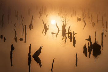 moor-sonnenaufgang-nebel-1904180553