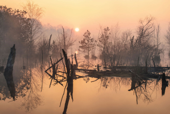 moor-sonnenaufgang-sumpf-1504050705