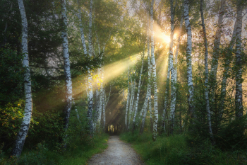 moorwald-chiemgau-pfad-wandern-2109080713