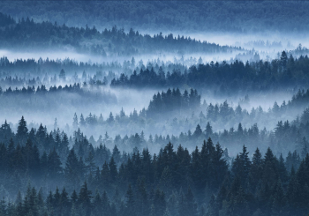 nationalpark-bayerischer-wald-landschaft-1807170556
