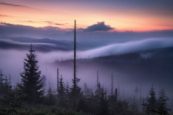 nationalpark-bayerischer-wald-sonnenaufgang-1807070432
