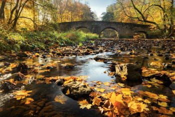nister-bruecke-marienstatt-westerwald-1611011105