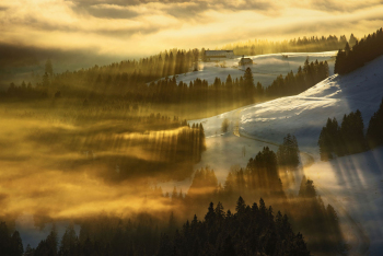 oberbayern-alpen-wald-winter-1301131922