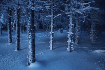 oberpfalz-wald-winter-1902050828