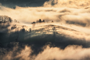 obstbaum-nebel-landschaft-2204210541