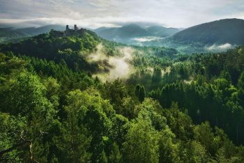 pfaelzer-wald-dahn-burg-aussicht-1606010712