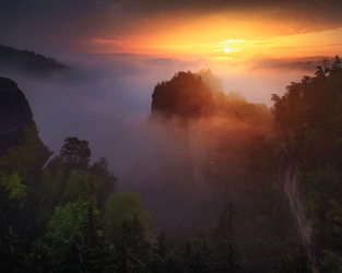 saechsische-schweiz-elbsandsteingebirge-landschaft-1705150535