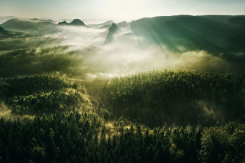 saechsische-schweiz-elbsandsteingebirge-nationalpark-1409280753
