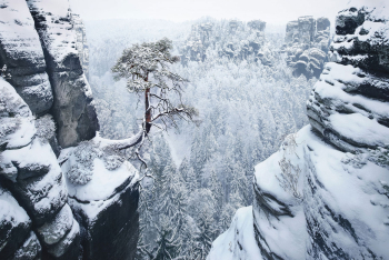 saechsische-schweiz-winter-elbsandsteingebirge-1603010822