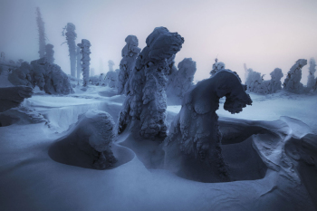 schnee-gestalten-bayerischer-wald-1901201806