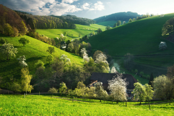 schwarzwald-fruehling-bluehende-baeume-1904190700