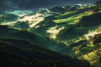 schwarzwald-kulturlandschaft-mittelgebirge-1410180844