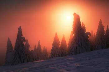 schwarzwald-winter-feldberg-2101101647