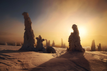 schwarzwald-winter-wald-2101101632