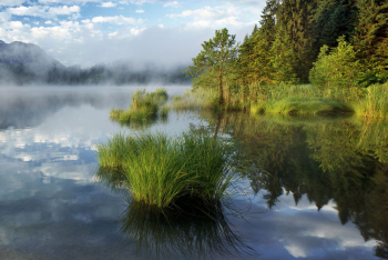 see-spiegelung-alpen-1407010611