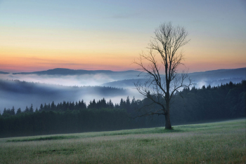 sonnenaufgang-boehmerwald-sumava-1805310300