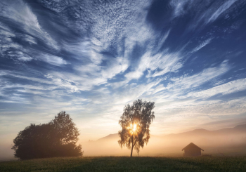 sonnenaufgang-himmel-baum-2009100611
