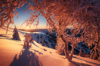 sonnenaufgang-winter-schwarzwald-schnee-2101160814