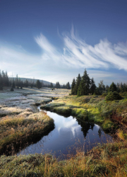 spiegelung-bach-landschaft-sommer-1308300746