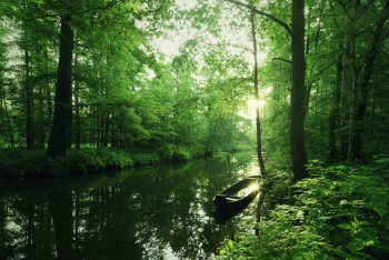 spreewald-kanal-kahn-boot-1507120631