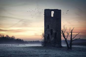turm-voegel-geheimnisvoll-1501210916