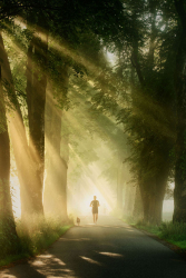 wald-laeufer-jogger-morgens-2008070647