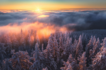 wald-sonnenaufgang-winter-1912290800