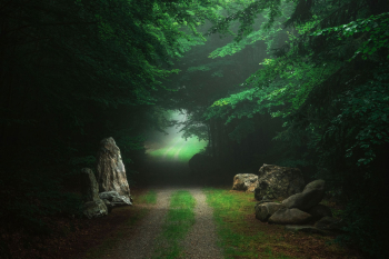 wald-weg-pfad-steig-2108290817