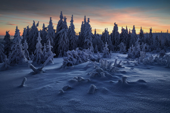 wald-winter-sonnenaufgang-1812160847