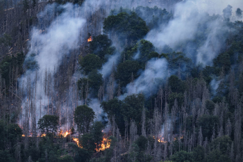 waldbrand-feuer-klimawandel-2207270419