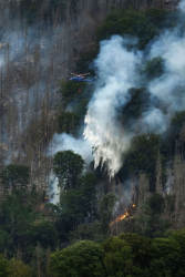 waldbrand-feuer-loeschhubschrauber-helikopter-klimawandel-2207270520