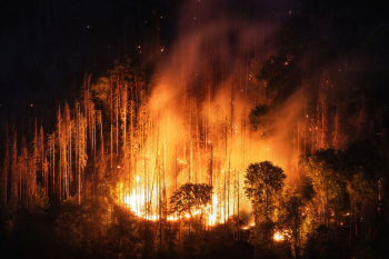 waldbrand-klimawandel-saechsische-schweiz-elbsandsteingebirge-2207270320