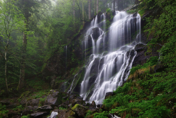 wasserfall-schwarzwald-wald-1505151406