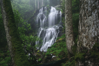 wasserfall-schwarzwald-wald-1505151443
