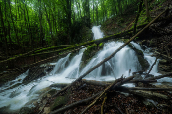 wasserfall-wald-bayerische-alpen-2206091624