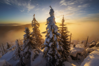 winter-baeume-sonnenaufgang-bayern-2211250849