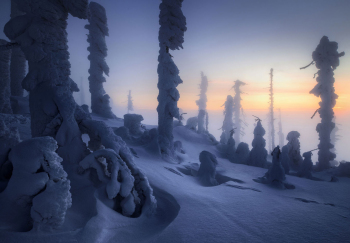 winter-bayerischer-wald-1901201750