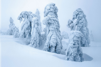 winter-bayerischer-wald-arbermandln-1901170936