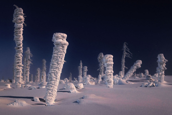 winter-bayern-wald-nacht-1901181838