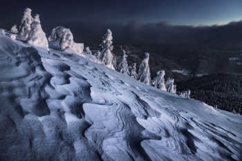 winter-schwarzwald-baeume-2101151727