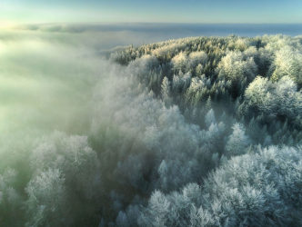 winter-wald-drohne-bayern-2011270822