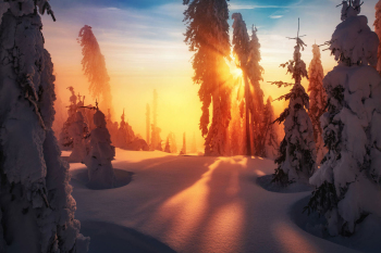 winter-wald-sonnenuntergang-bayerischer-wald-1901201727