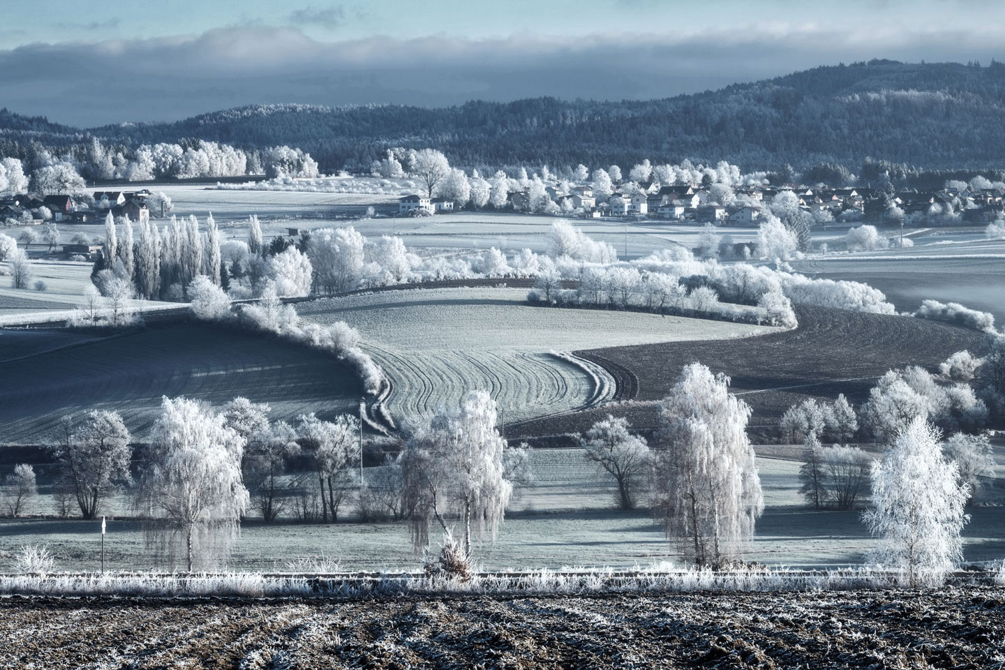 raureif-landschaft-winter-dezember-1901230855