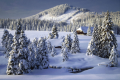 boehmerwald-winter-sumava-1601180954