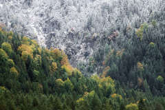 herbst-wintereinbruch-schnee-alpen-2110131232