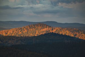 Bayerischer Wald Aussicht Landschaftsfotografie (6)