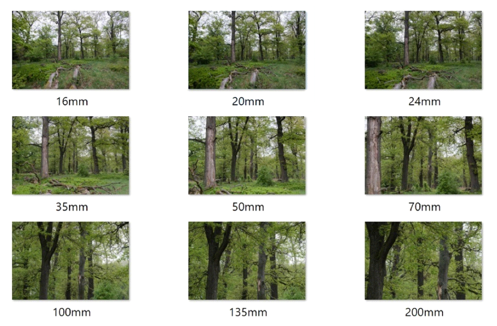 Brennweitenvergleich Landschaftsfotografie Brennweitenvergleich Landschaftsfotografie