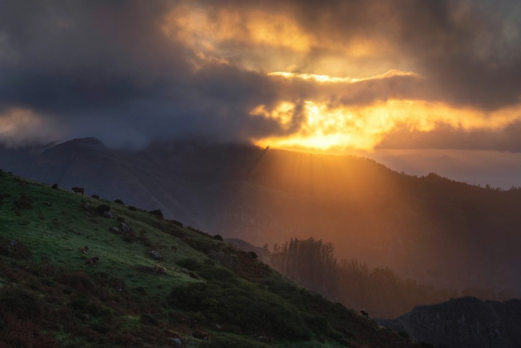 DSC8707 copyssssssssss copyk