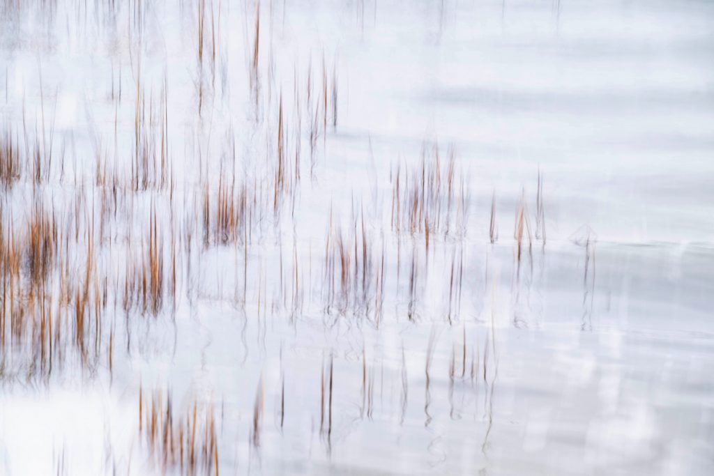 ICM landschaftsfotografie (3)