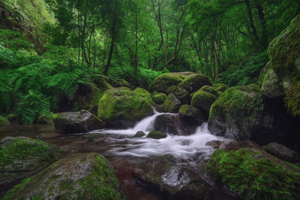 Madeira Bach Wasserfall (2)
